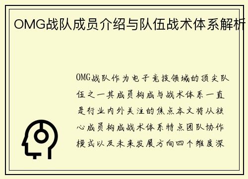 OMG战队成员介绍与队伍战术体系解析